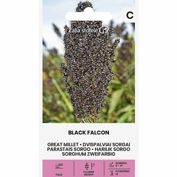 Zoomaa kuva kohteesta Helmihirssi 'Black Falcon'