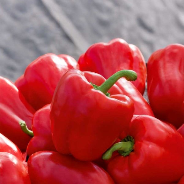 Zoomaa kuva kohteesta Paprika 'Granova'