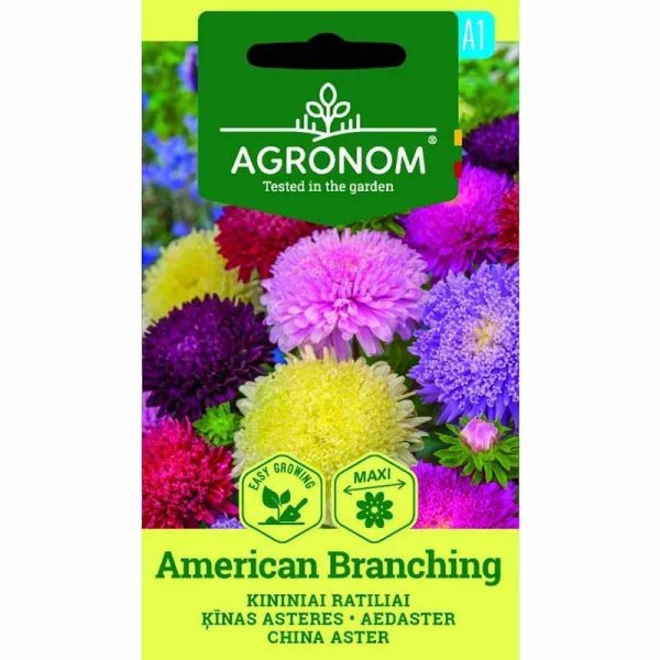 Zoomaa kuva kohteesta Kesäasteri 'American Branching'