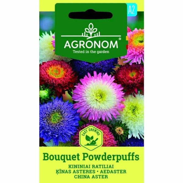 Zoomaa kuva kohteesta Kesäasteri 'Bouquet Powderpuffs'