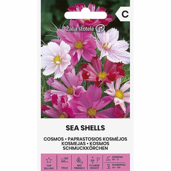 Zoomaa kuva kohteesta Kosmoskukka 'Sea shells'