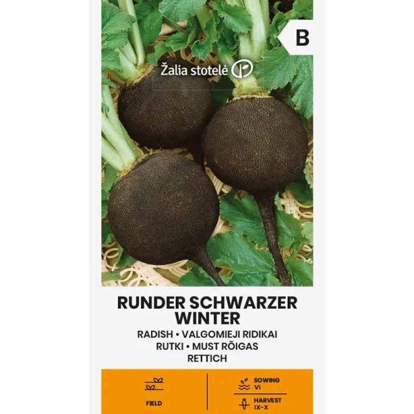 Zoomaa kuva kohteesta Retiisi 'Runder schwarzer winter'
