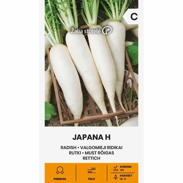 Zoomaa kuva kohteesta Retiisi 'Japana'