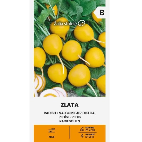 Zoom bilde av Reddik 'Zlata'