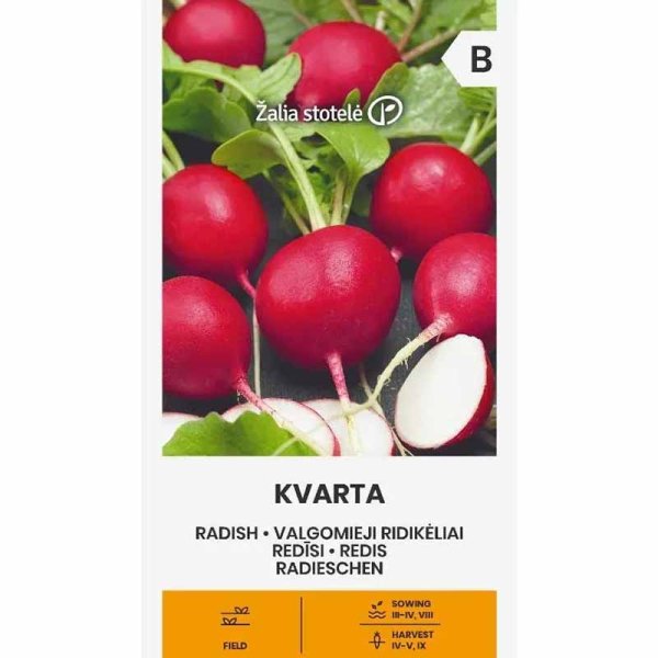 Zoomaa kuva kohteesta Retiisi 'Kvarta'