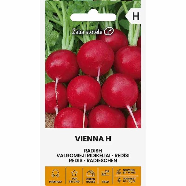 Zoomaa kuva kohteesta Retiisi 'Vienna' H