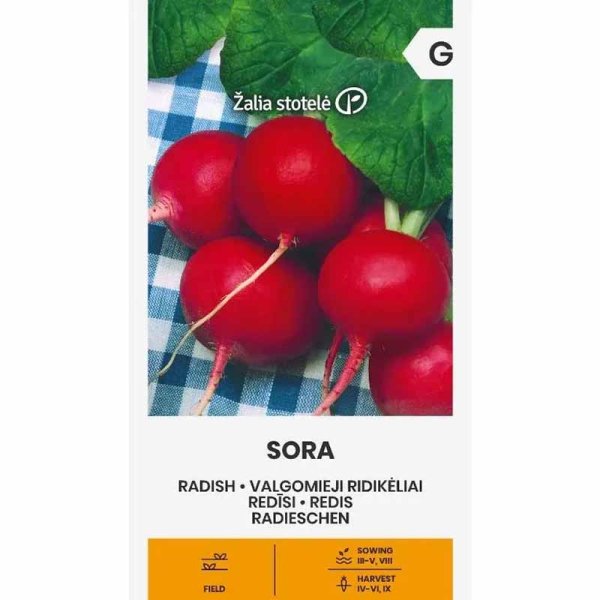 Zoomaa kuva kohteesta Retiisi 'Sora'