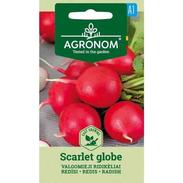 Zoom bilde av Reddik 'Scarlet globe'