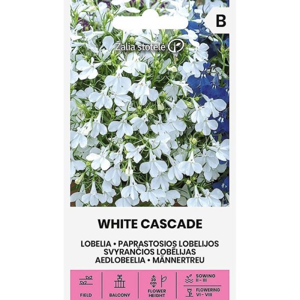 Zoomaa kuva kohteesta Lobelia 'White Cascade'