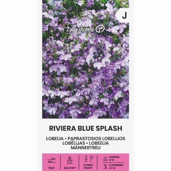 Zoomaa kuva kohteesta Lobelia 'Riviera Blue Splash'
