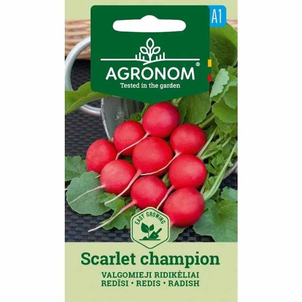 Zoom bilde av Reddik 'Scarlet champion'