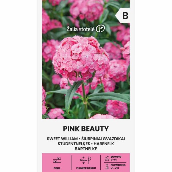 Zoomaa kuva kohteesta Harjaneilikka 'Pink Beauty'