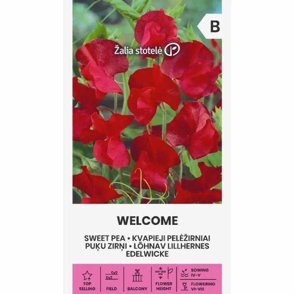 Zoomaa kuva kohteesta Tuoksuherne 'Welcome'
