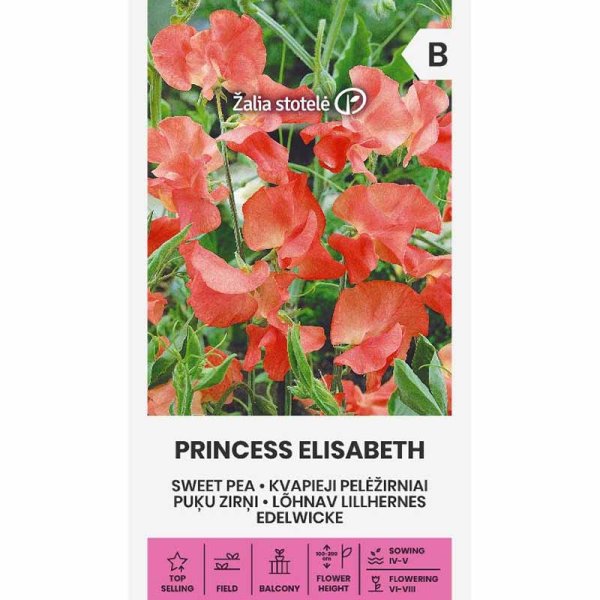 Zoomaa kuva kohteesta Tuoksuherne 'Princess Elisabeth'