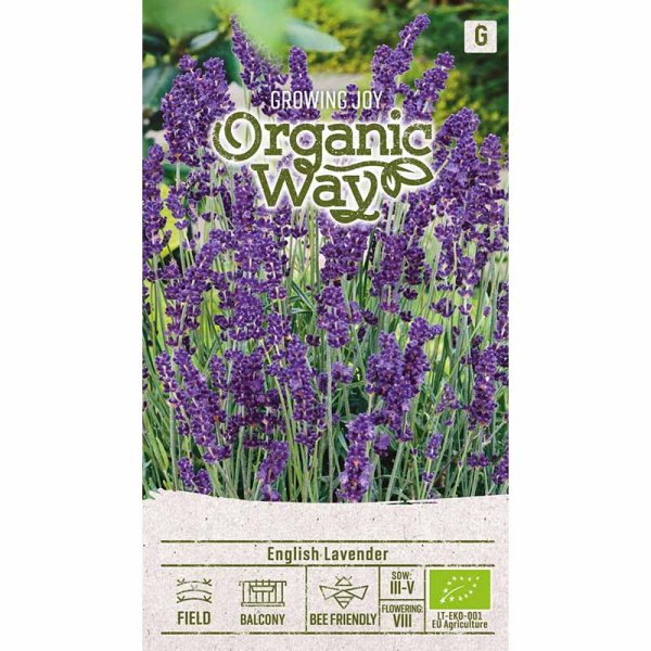 Zoomaa kuva kohteesta Lavender 'English'