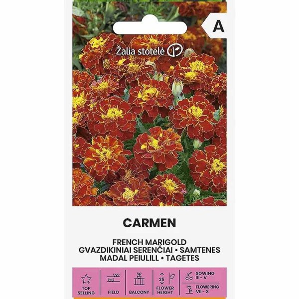 Zoomaa kuva kohteesta Samettikukka 'Carmen'