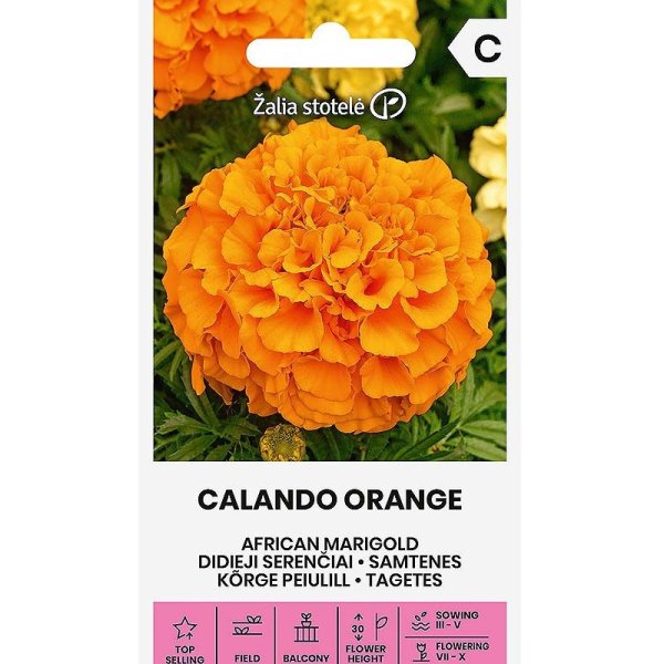 Zoomaa kuva kohteesta Isot samettikukat 'Calando orange'