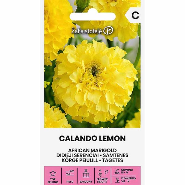 Zoomaa kuva kohteesta Isotsinnia tagetes 'Calendo lemon'