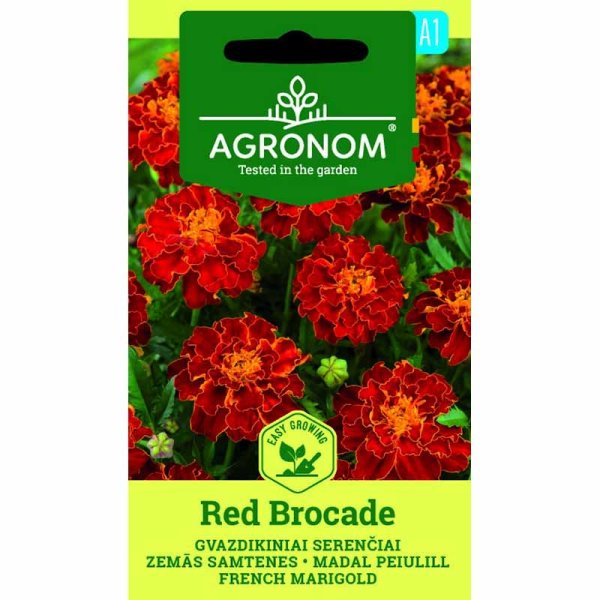 Zoomaa kuva kohteesta Marigold 'Red brocate'