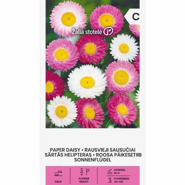 Zoom bilde av Evighetsblomst