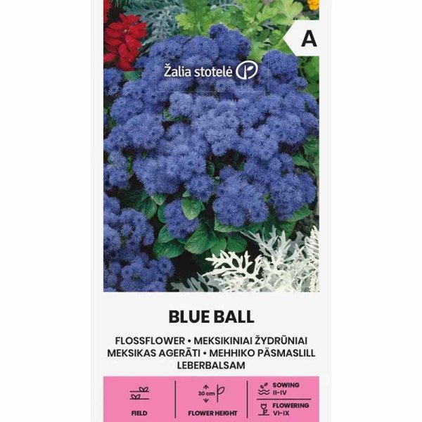Zoomaa kuva kohteesta Ageratum 'Blue Ball'
