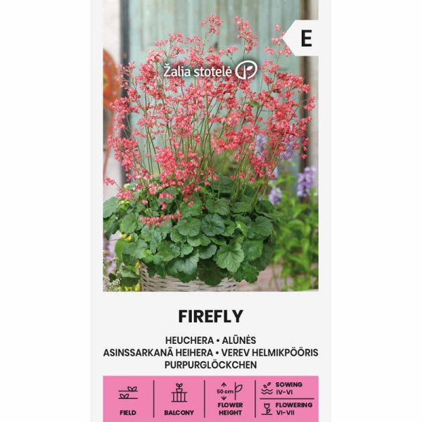 Zoom bilde av Alunrot 'Firefly'