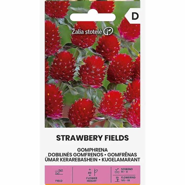 Zoomaa kuva kohteesta Punainen amarantti 'Strawberry Fields'