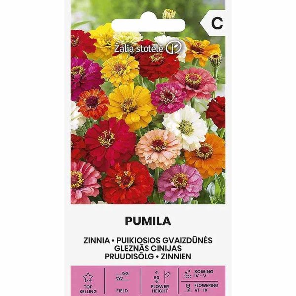Zoomaa kuva kohteesta Zinnia