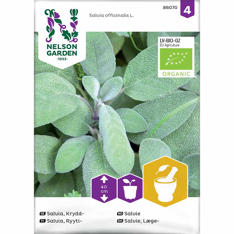 Maustesalvia