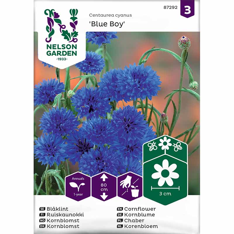 Ruiskaunokki 'Blue Boy'