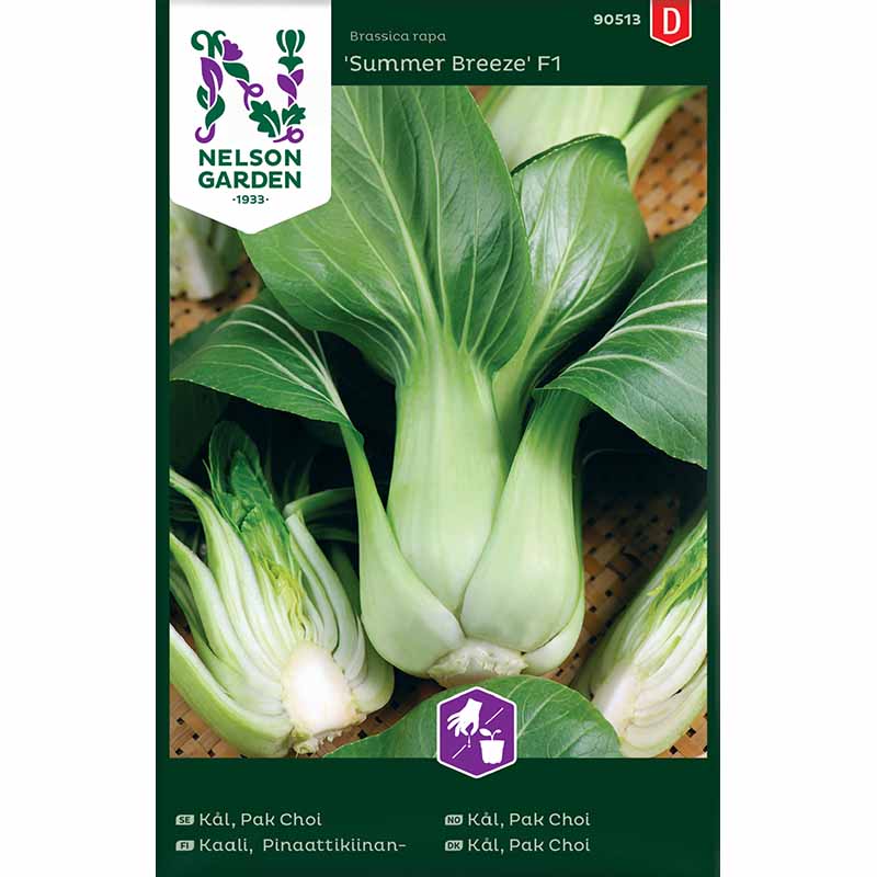 Pak Choi 'Summer Breeze F1'