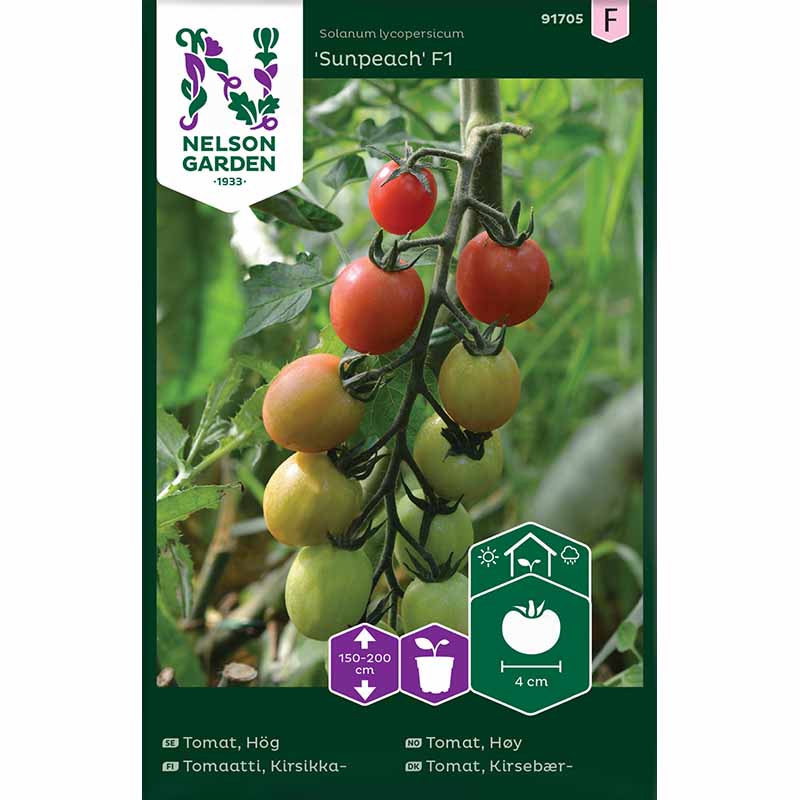 Korkea tomaatti 'Sunpeach' F1