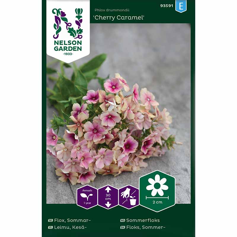 Kesäloistosalvia 'Cherry Caramel'