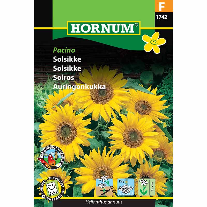 Auringonkukka 'Pacino'
