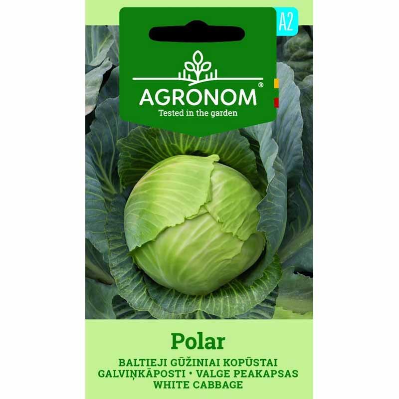 Valkokaali 'Polar'