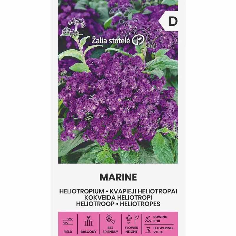 Heliotrooppi 'Marine'