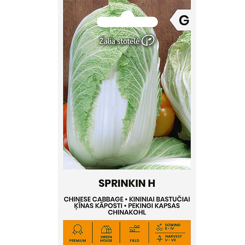 Kiínankaali 'Sprinkin' h