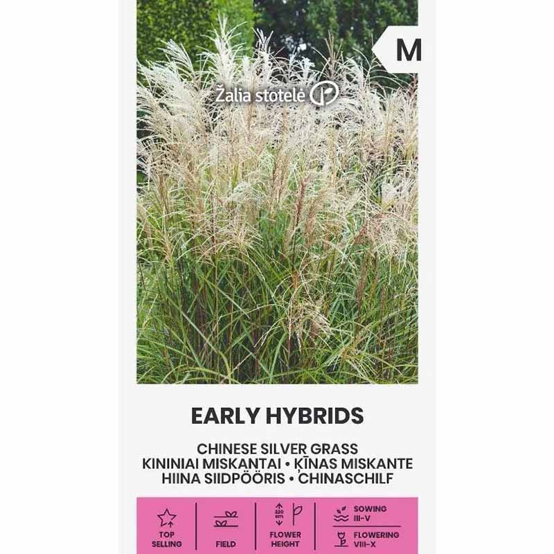Hopeatatar 'Early Hybrids'