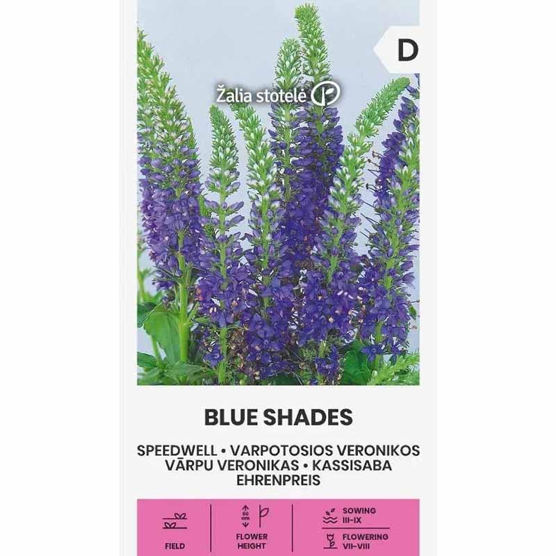 Veronika 'Blue Shades'