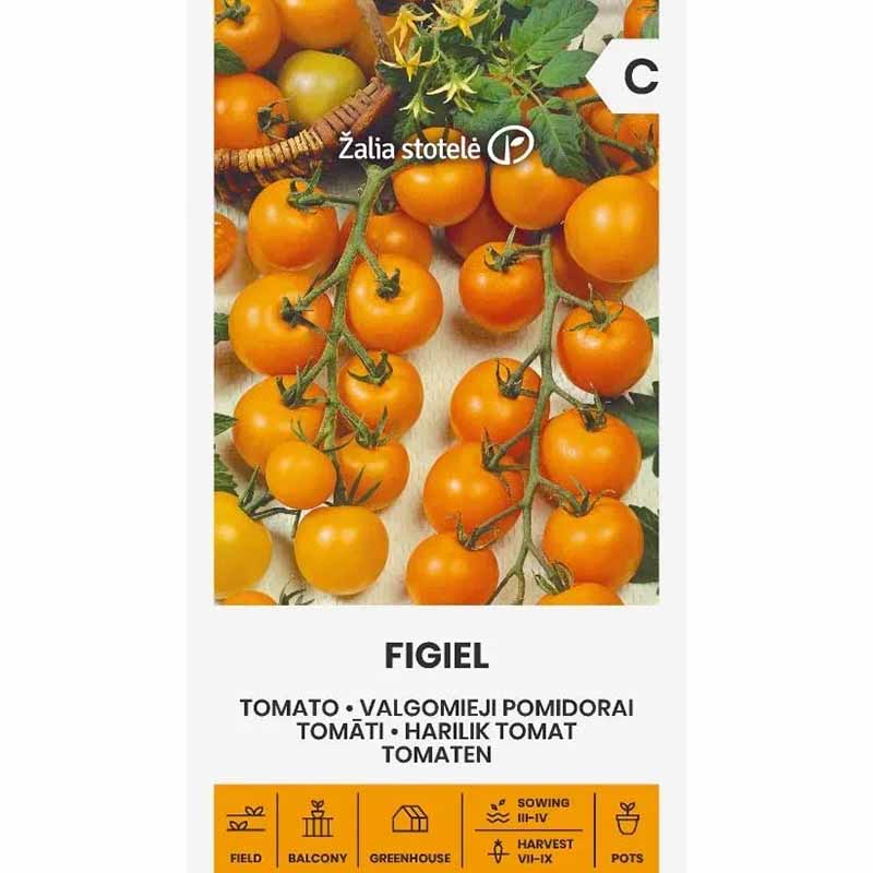 Tomaatti 'Figiel'