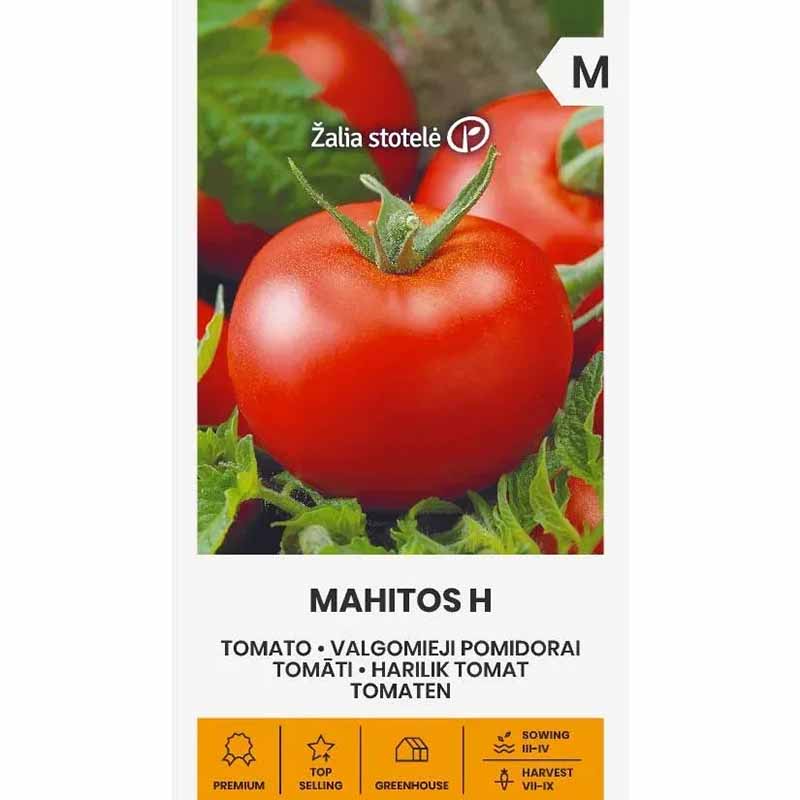Tomaatti 'Mahitos' H