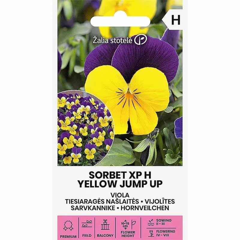 Sarviorvokki 'Sorbet XP F1 Yellow Jump Up'