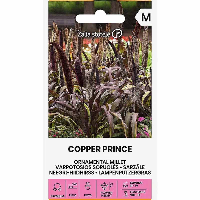 Perlehirse 'Copper Prince' h
