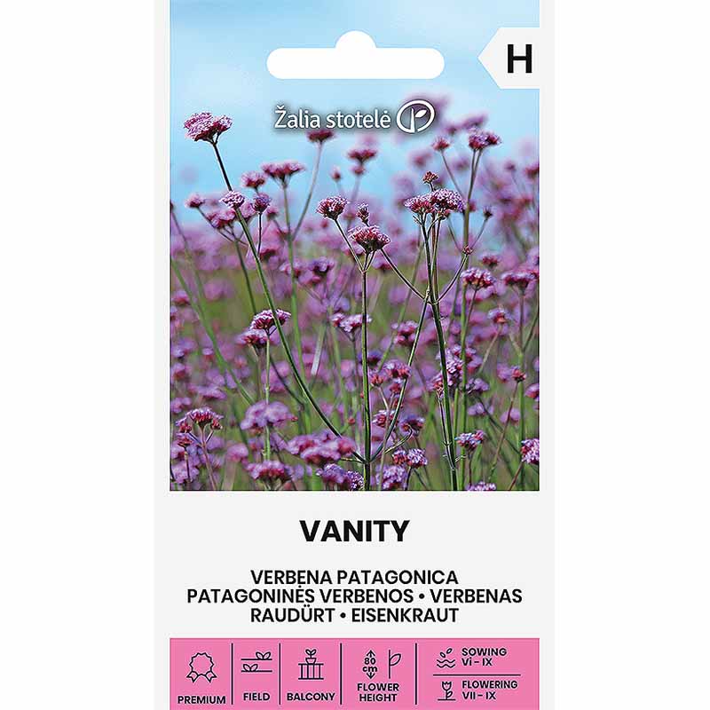 Jättiverbena 'Vanity'