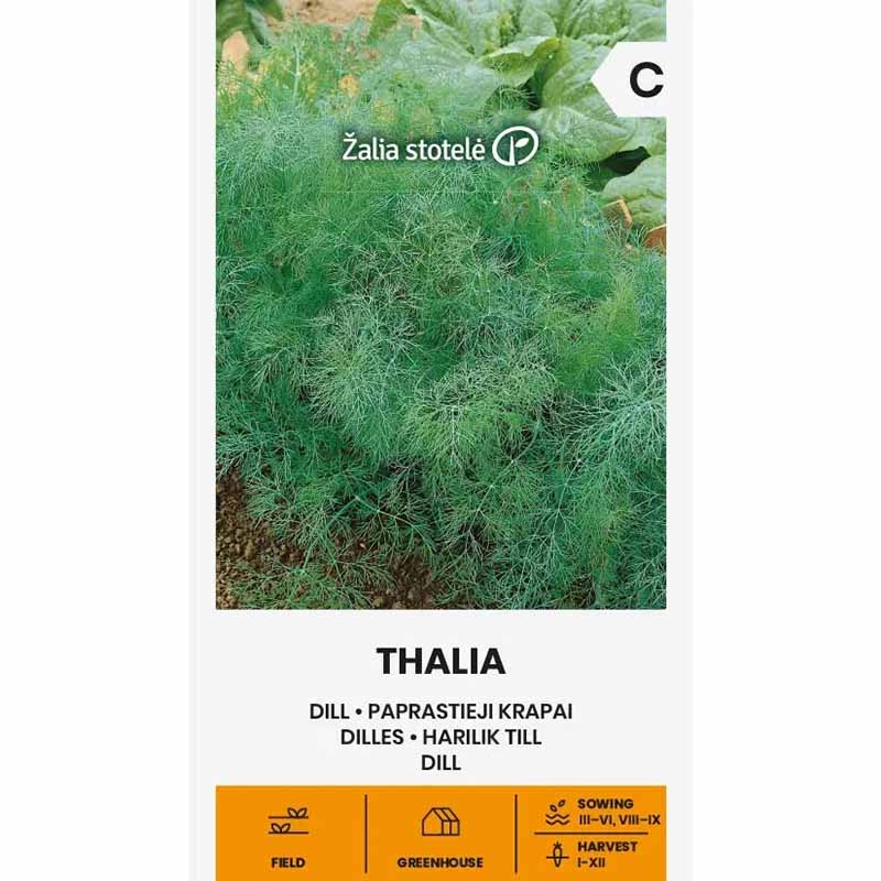 Tilli 'Thalia'