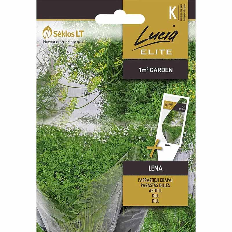 Tilli 'Lena'