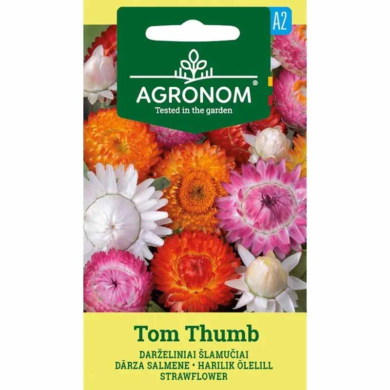 Evighetsblomst 'Tom Thumb'