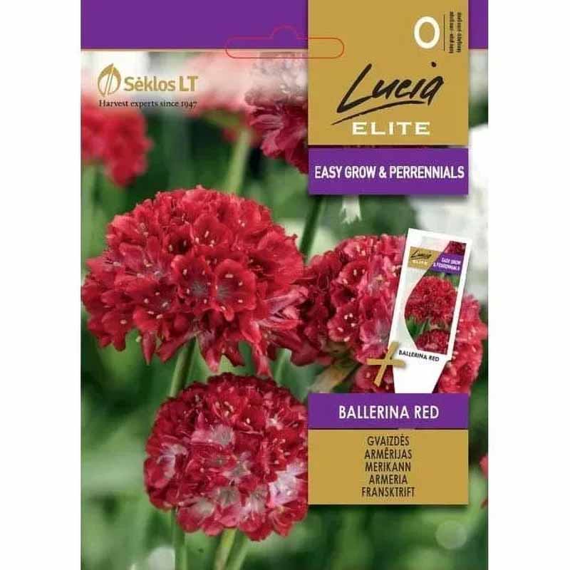 Rantatädyke 'Ballerina Red'