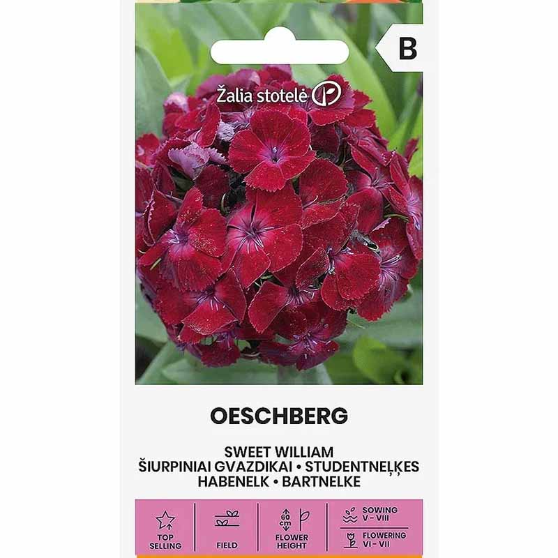 Partaneilikka 'Oeschberg'