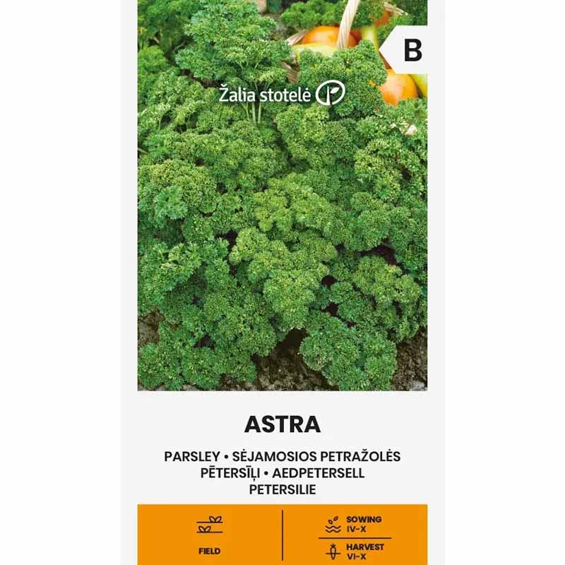 Persilja 'Astra'